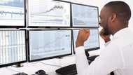 Forex Trading: How Professionals Make Money and Avoid Loses