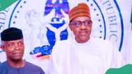 Osinbajo names one person who knows the real Buhari
