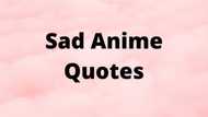 50 sad anime quotes about life, love, pain and loneliness