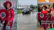 "He did not put me to shame": Lady excited as man she dated for 7 years marries her in grand style