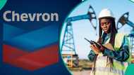 Chevron Nigeria announces job vacancies for Nigerians, releases link to apply