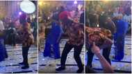 Husband wey go Harvard: Reactions as Nigerian man twerks more than his bride at their wedding in cute video