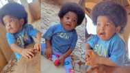 "The most beautiful girl in the world": Viral video of baby with long natural hair causes stir on TikTok
