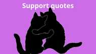 Top support quotes to encourage everyone in life