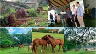 Ikeja Saddle Club petitions IGP Baba over invasion of property by land grabbers