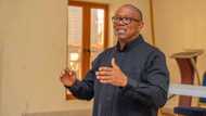 Why I didn't conduct LGA election in Anambra until last year in office, Peter Obi reveals