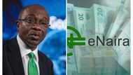 Why e-Naira may be the greatest legacy of Emefiele, Abdulraheem writes