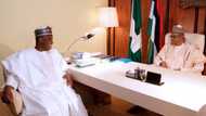 PDP governors pledge support for Buhari govt to address crucial national issue