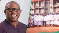 "Baba olowo": Peter Obi donates N75 million to Enugu hospital, shares photos, other details