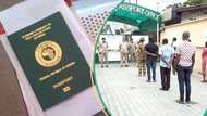 No more delay: FG finally set to launch website Nigerians can use to apply, get passport from home