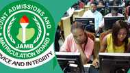 UTME 2026: JAMB announces when first batch of results will be released
