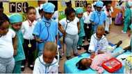 So beautiful: Adorable photo shows little kids dressed as doctors examining a "patient", many react
