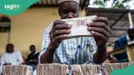 CBN releases latest exchange rates as naira falls for 3 straight days against US dollar