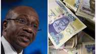 "Fill the Form": CBN Opens Portal for Nigerians to Return Old Naira Notes Commercial Banks Are Rejecting