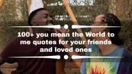 100+ you mean the world to me quotes for your friends and loved ones