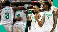 Nigeria move closer to 2027 FIBA World Cup after consecutive win