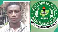 JAMB highest scorer for 2024, David Alayande, wins 15 awards from his secondary school in Kaduna