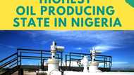 Top 10 oil producing states in Nigeria