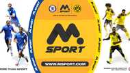 MSport 2026: New features, real winners & why MSport is Africa’s biggest sports betting platform
