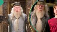 Popular Harry Potter actor Michael Gambon known for playing Professor Dumbledore dies at 82