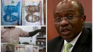Six reasons why CBN might extend depositing old naira notes beyond January 31, 2023 deadline