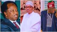 Shehu Sani Ya Fadi Dalilin Da Yasa Ya Kamata Tinubu Ya Binciki Buhari, Tsoffin Ministoci, Tsoffin Shugabannin Tsaro Da Sauransu