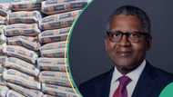 Does Tinubu govt earn N6,240 from every bag of Dangote cement? Company responds
