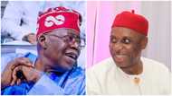 APC Presidential Primary: Amaechi congratulates Tinubu over landslide victory, Nigerians react