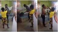 Cute video shows wife feeding her husband because he is late for work, melts hearts online