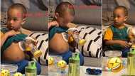 "He needs milk for his cereals": Little boy places mum's breastmilk pump on his chest in funny video