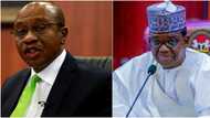 Why Buhari should stop Emefiele’s study leave before May 29, northern APC gov speaks