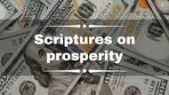 Top 50 scriptures on prosperity and wealth: Motivational Bible verses