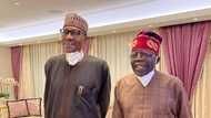 2023 Presidency: Bola Tinubu is recommended as President Buhari’s successor