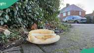 Mysterious banana ‘offering’ appears at UK junction, residents panic