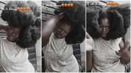 "What is your secret?" Pretty lady's thick 'natural' hair makes men go crazy, she flaunts it in viral video