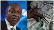 CBN loses more firepower to defend Naira from further devaluation against US dollar, other foreign currencies
