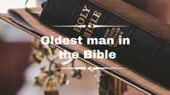 Top 10 oldest men in the Bible: Interesting facts and details