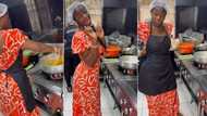 "Foods plenty for Nigeria o": Full list of assorted meals Hilda Baci cooked for over 100 hours exposed