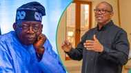 Peter Obi reveals how Tinubu handled fuel subsidy removal wrongly: “It's organised crime”