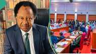 “We have bacterial infection”: Shehu Sani reacts as Tinubu signs old national anthem Into law