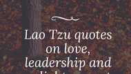 Insightful Lao Tzu quotes on love, leadership and enlightenment