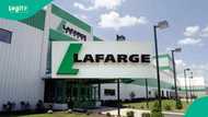 Cement company Lafarge Africa declares big profit in Q2, CEO reacts