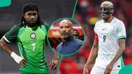 Eric Chelle gives reason Osimhen, Lookman are absent from Super Eagles squad to face Russia