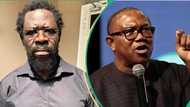 Peter Obi reacts as Ekiti court sends top ally Dele Farotimi to prison