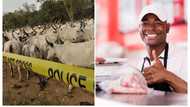 21 Africa countries with the highest cattle population and beef production