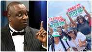 "Senior Advocate of Nonsense": Nigerians give Keyamo heavy knocks over his comment on Obidients' rallies