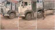 Young Nigerian lady drives big truck with confidence in video, many praise her