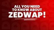 Entertainment Unleased: All you need to know about Zedwap