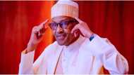 Middle Belt Forum reveals real reason why Buhari wants to relocate to Niger Republic after May 29