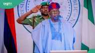 Tinubu issues strong directive to EFCC, Customs others to tackle cybercrimes